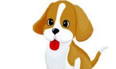 1946年出生76岁生肖狗女2021年运势 46年今年运气如何