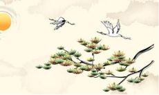 生肖狗2022可以养宠物狗吗 狗和狗属相相冲不