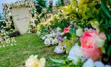 哪个星座女出好老婆