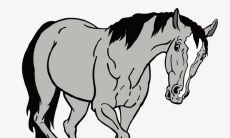 2002年属马男2022年运势及运程如何 02年20岁生肖马2022虎年全年每月运势男性