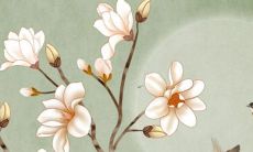 84年属鼠的2022年运势运程