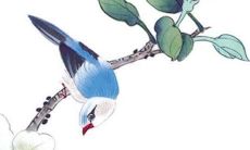 2022年犯太岁的人