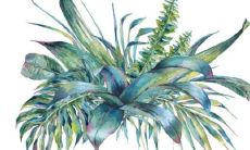 化解太岁有效果吗