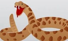 1977年属蛇男2022年运势及运程如何 77年45岁生肖蛇2022虎年全年每月运势男性