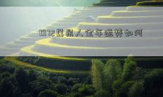 1972属鼠人全年运势如何