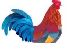 1981年属鸡女人2022年运势及运程如何 81年41岁生肖鸡2022年全年每月运势女性