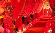 丧病,星座男为了赚钱什么事都敢做