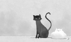 山火贲 卜感情方面运势怎么样