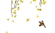 44年的猴2022年的运势