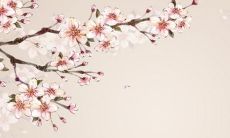 属鸡2022年运势完整版男