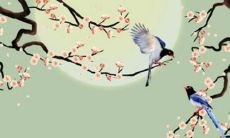 93年属鸡的是什么命