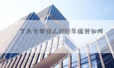 丁火女命生人2022年运势如何