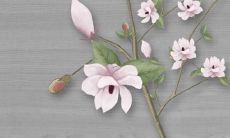 2022年犯太岁的生肖有鸡吗