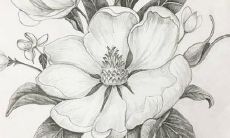 测83年猪2022年爱情运势