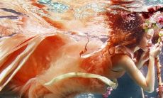 2022年鸡和猪属相较为相配