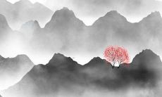 2022年属虎女戴什么生肖