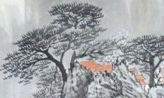 1986虎火命带什么好