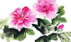 2022年属猪的婚姻运势怎么样