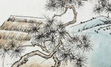 2022年犯太岁属虎