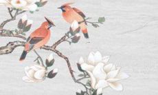 2022年金牛运势汇总