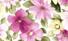 10年的虎在2022年的运势