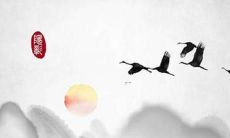 猴子遇2022虎年运势