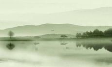 1986年属虎的劫难年