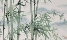 2022年属鼠人的全年运势颜色