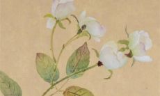 九零年属马的2022年运势