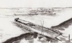 男虎水瓶2022运势