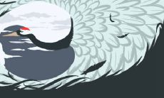 88年和95年配吗 能带动事业发展