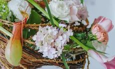 为什么这些星座逛朋友圈不点赞