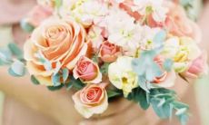 十二星座猴是九几年的