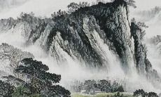 79年属羊人2022运势及运程