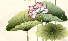 属鼠人下半年运势如何