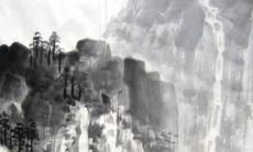 六八年属猴人2022年运势如何