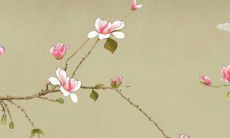 属鼠人下半年的财运