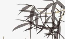 虎年哪年犯太岁