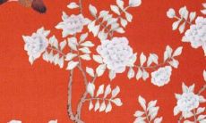 2023年属鸡大爆发