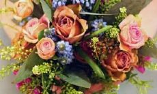 144太阳星座宫位