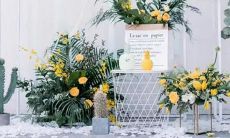 第五个星座是什么