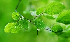 梦见被体罚是什么意思