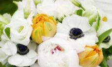 美女叫床十二星座