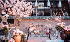 异性缘一直很不错的星座男