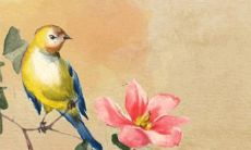 2022年哪几个属相犯太岁