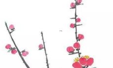 属鼠的下半年运势怎么样