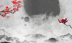 1951年属兔2022年的运势