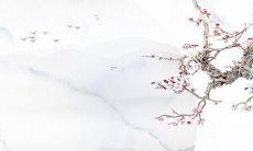 属虎本命年要佩戴什么黄金好