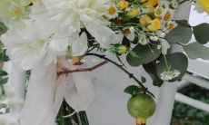 农历2017年54星座