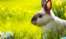 天秤座男生渣吗 天秤男为你沦陷的表现